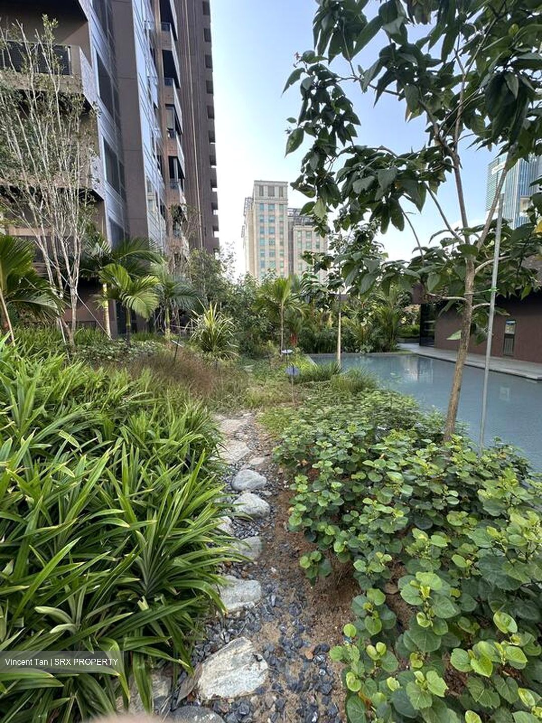 Midtown Modern (D7), Apartment #498902531